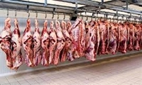 رصد گوشت تنظیم بازار در طرح شمیم مهر
